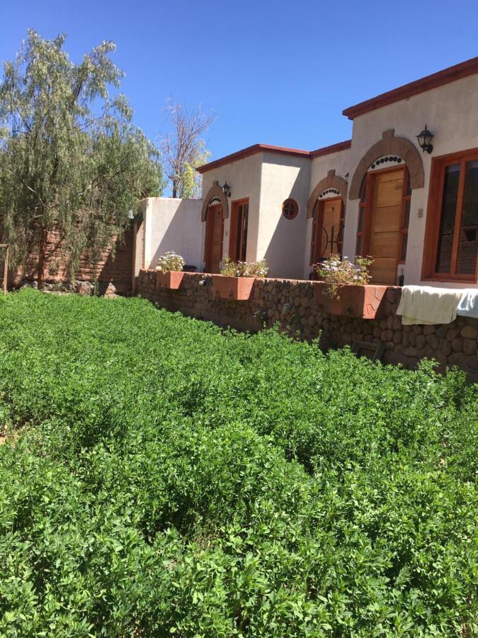 Hostal Puritama San Pedro De Atacama Zewnętrze zdjęcie